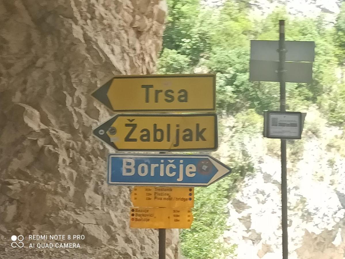 Katun Ljeljenak Hotell Plužine Eksteriør bilde