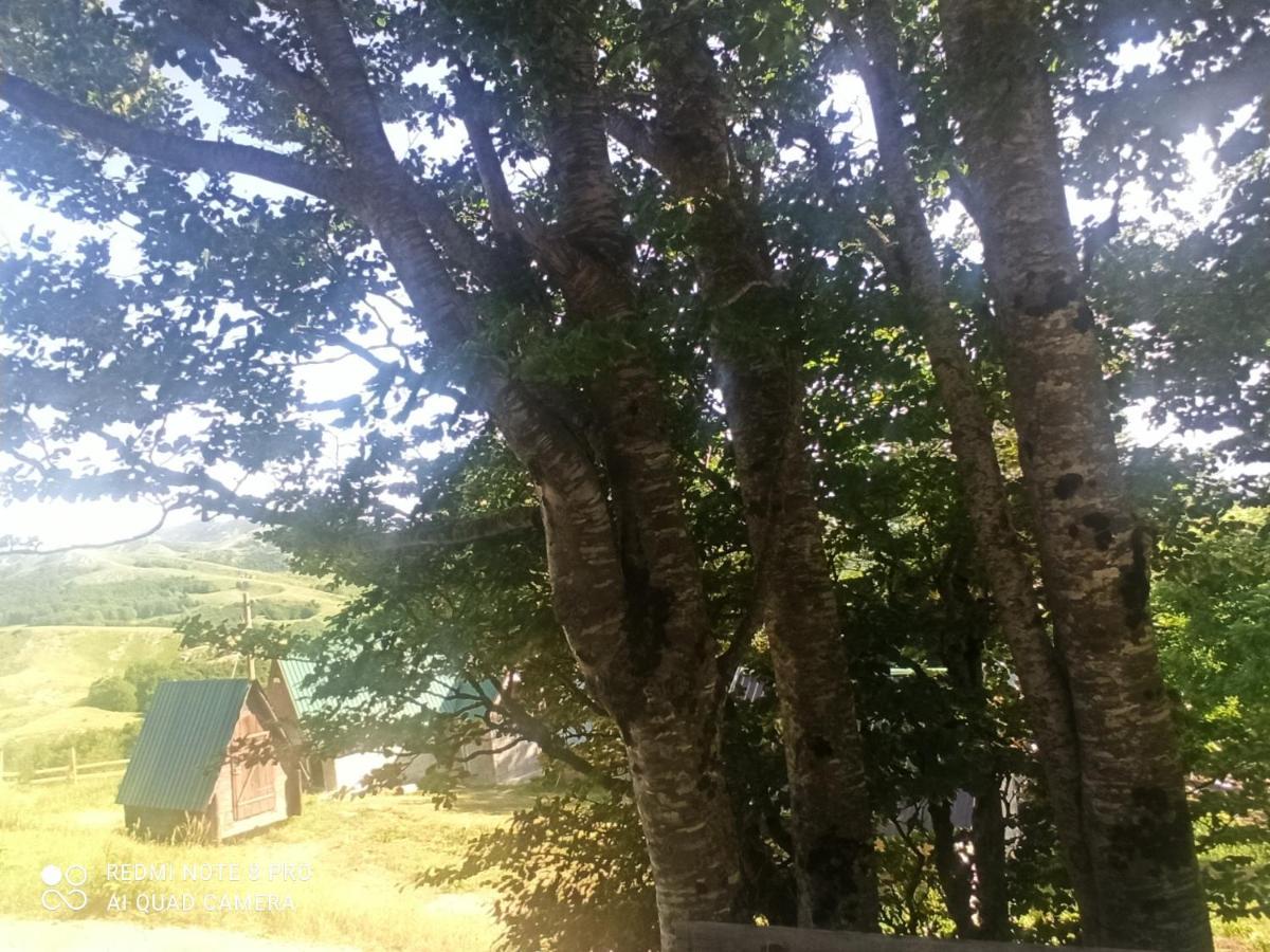 Katun Ljeljenak Hotell Plužine Eksteriør bilde