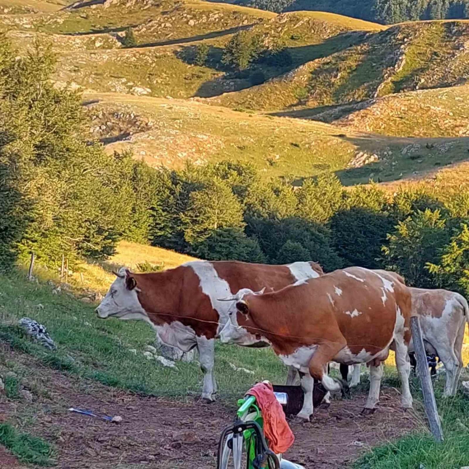 Katun Ljeljenak Hotell Plužine Eksteriør bilde