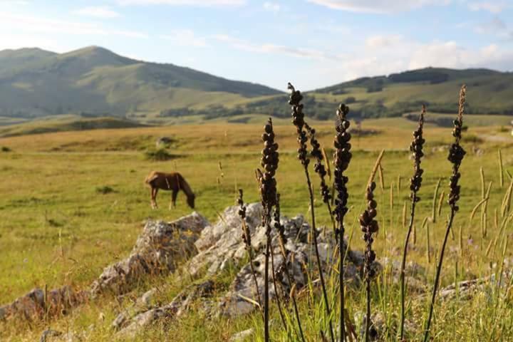 Katun Ljeljenak Hotell Plužine Eksteriør bilde