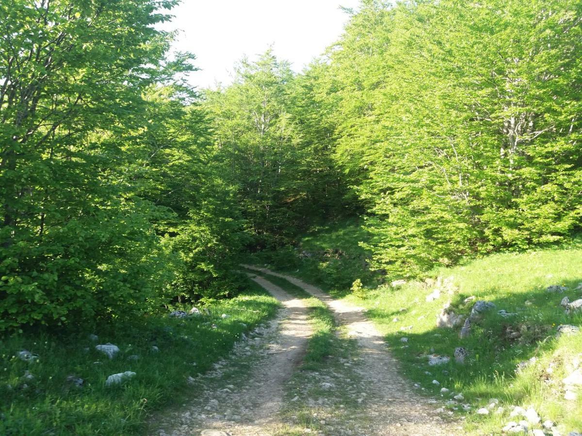 Katun Ljeljenak Hotell Plužine Eksteriør bilde