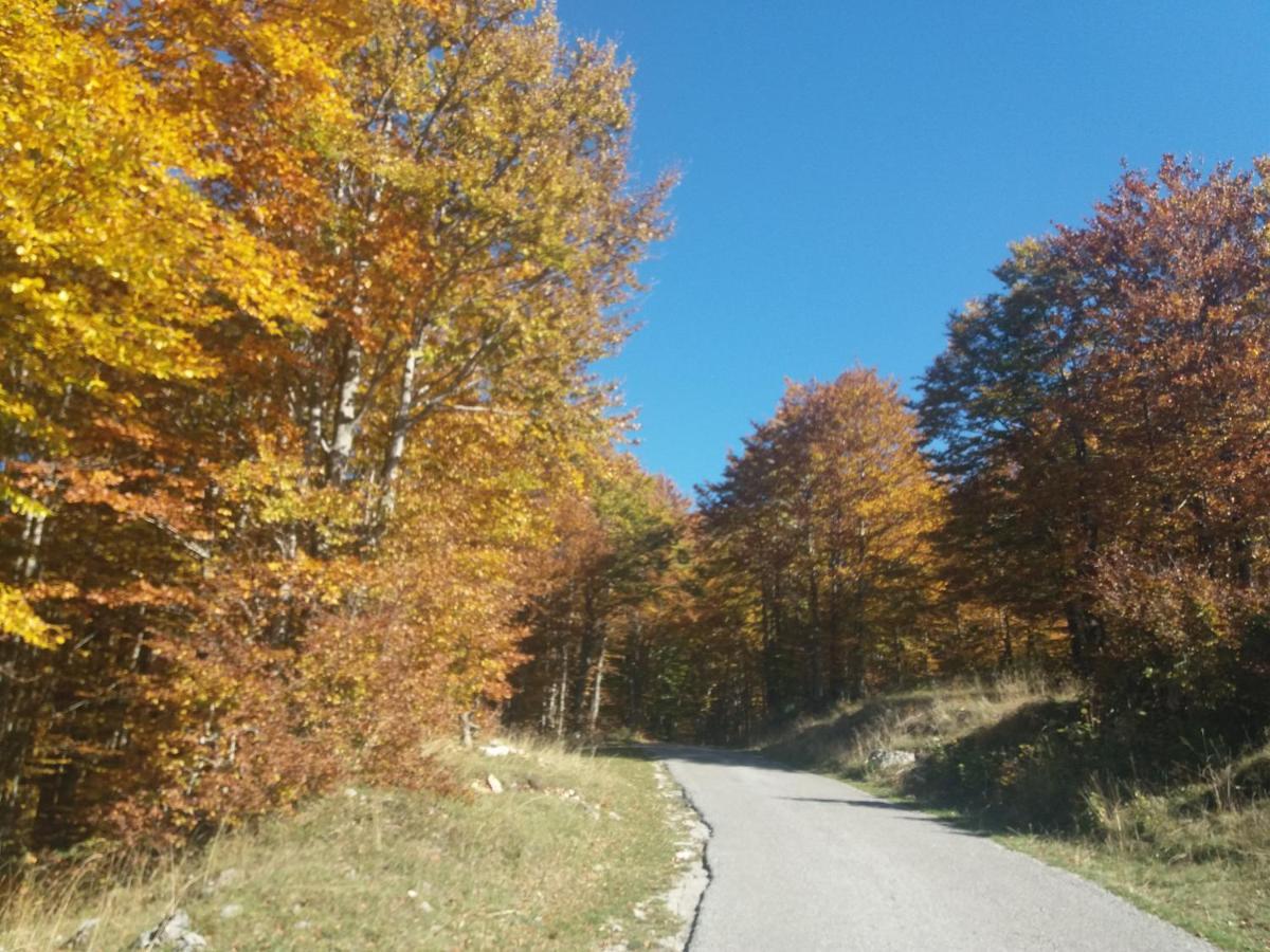 Katun Ljeljenak Hotell Plužine Eksteriør bilde